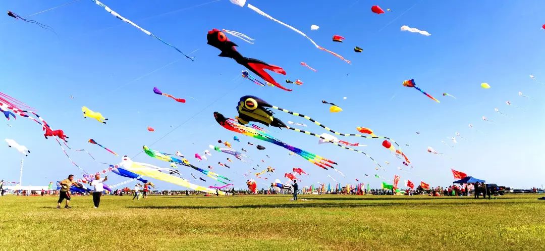 风筝传友谊银线连四海潍坊国际风筝会在滨海区盛大上演