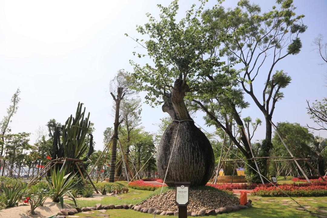 踏秋好去处这个绝美的珠海秘境一般人我不告诉他