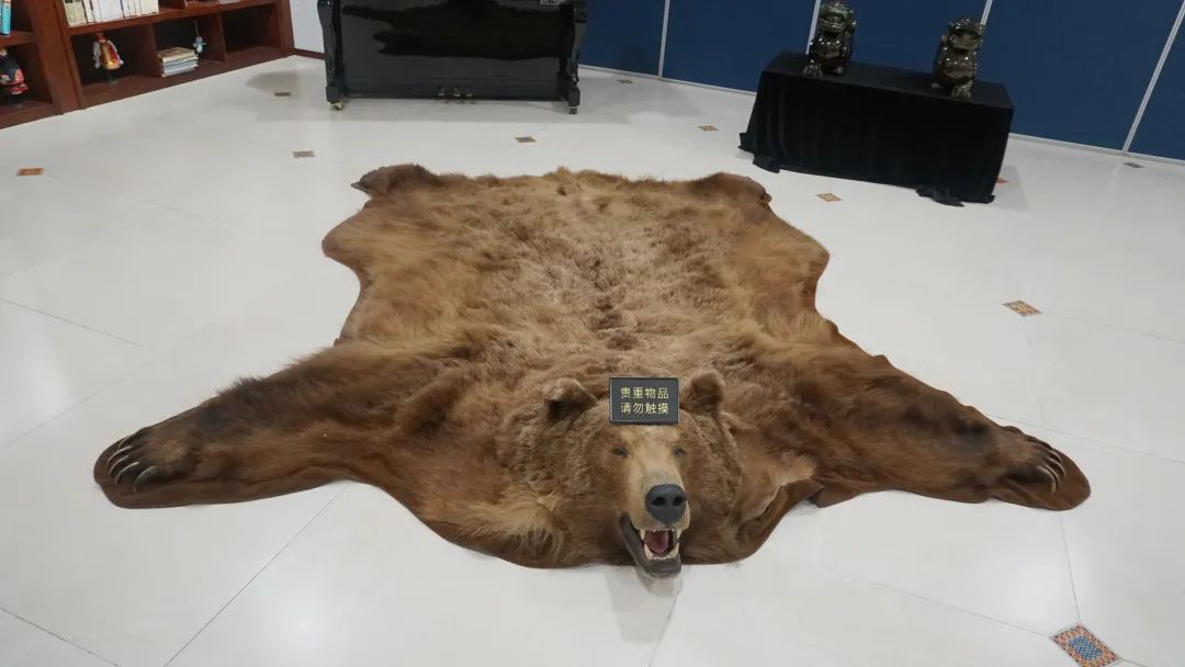 就是工艺品了门口的棕熊标本生动逼真整张皮的地毯让人为之震撼原标题