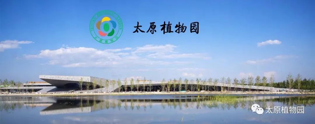 太原植物园门口图片图片