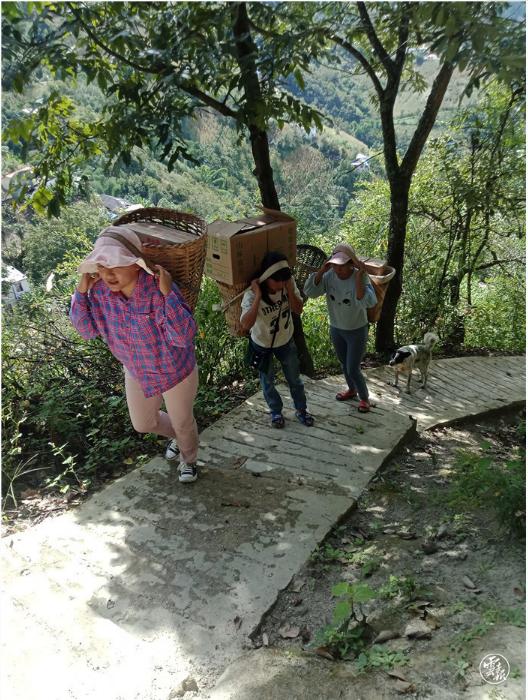 最美巾帼烛照深山她用背篓背起孩子们的希望