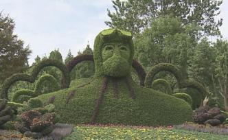 美翻了，2020第二届上海森林绿雕园艺展盛大开启