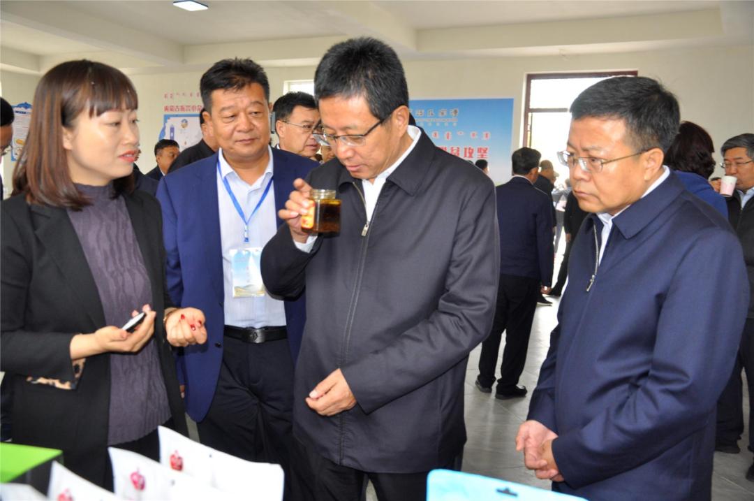 现场会期间,与会人员先后深入王爱召镇王爱召村,树林召镇林原村,中化