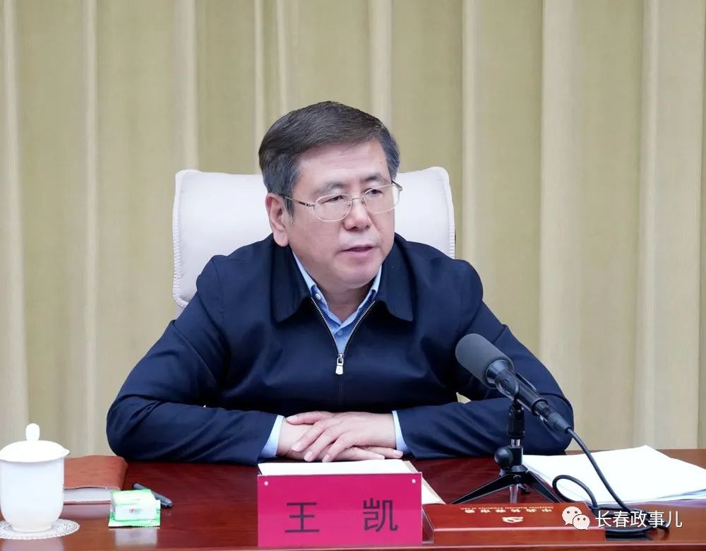 王凯全面推进市域社会治理现代化努力建设更高水平的平安长春