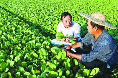 科技特派員將致富經播撒到田間地頭