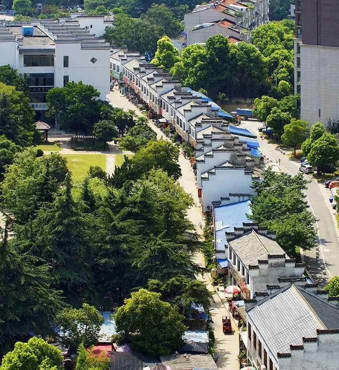 微美肥西線路:中國半湯鬱金香高地景區—半湯老街—御泉莊—三瓜公社