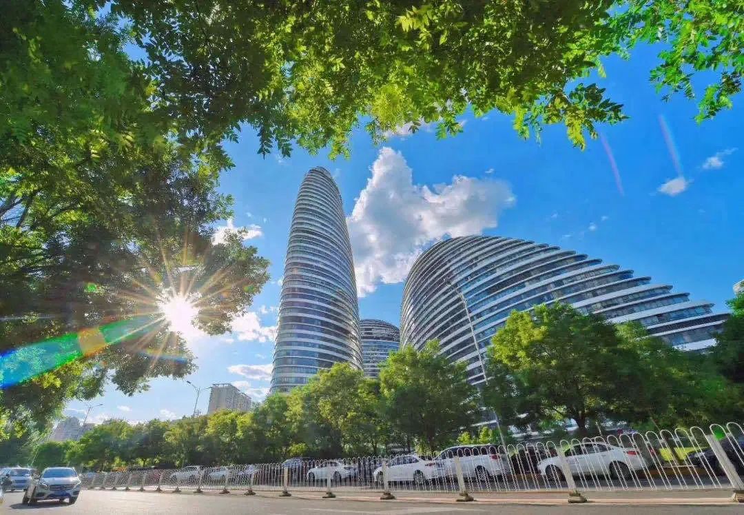 朝阳区以文化国际化大尺度绿化为主攻方向服务北京国际交往中心功能