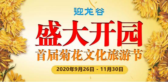 打探最美仙境打卡最美迎龙谷200张门票免费送文末有福利