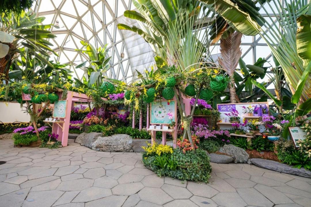 上海欢迎您上海各地区作品辰山植物园展览温室的热带花果馆和珍奇植物