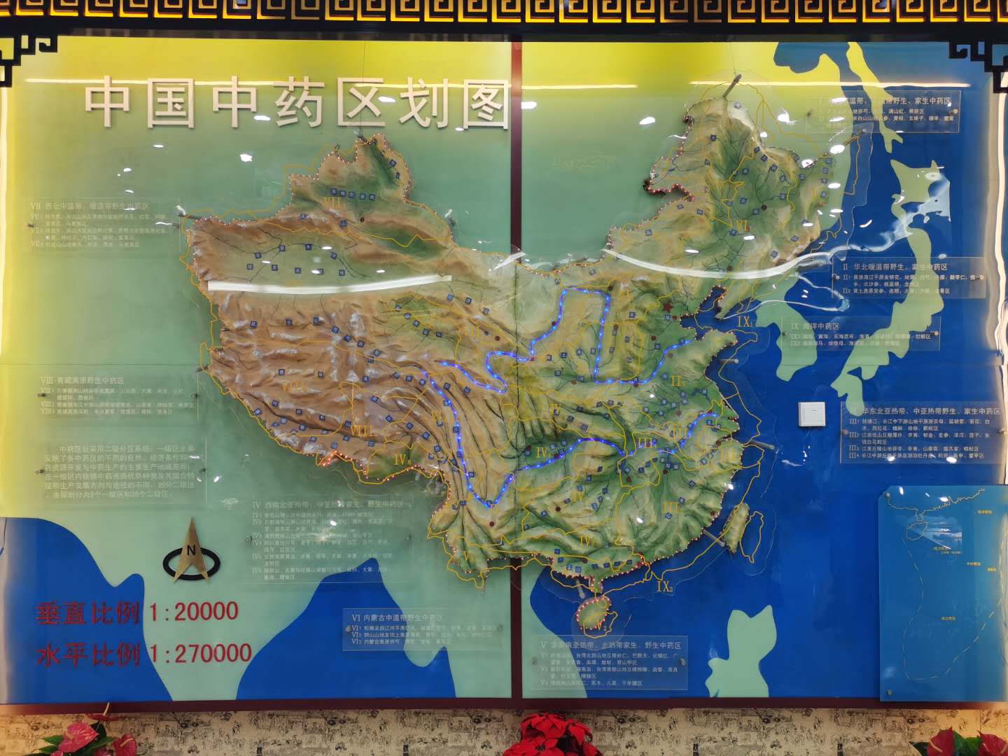 参观市医药学校中药标本馆,馆内陈设的中药标本,"广东省地道药材分布