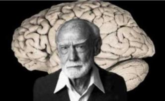 裂脑人实验：我们的大脑可能不是一个，而是两个？