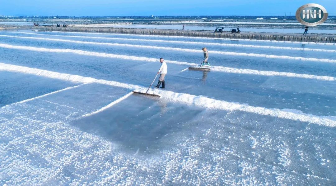 10月1日海南省博物馆带着可以吃的文物展莺歌海盐场带着老盐来美兰