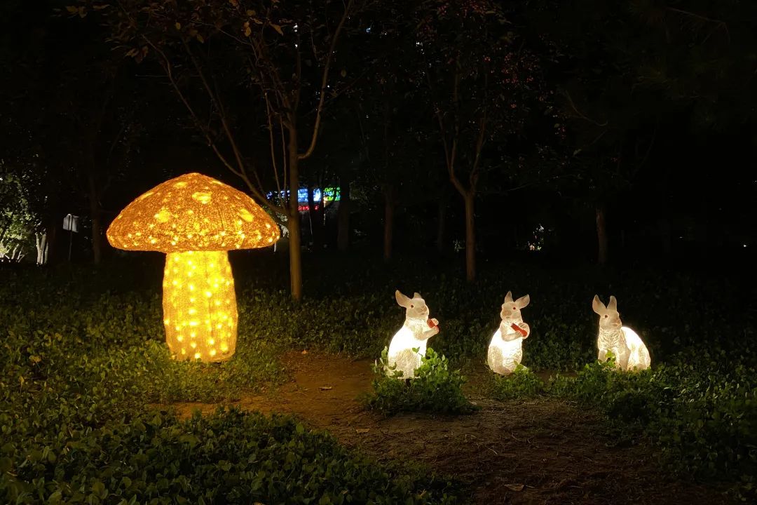 引得无数市民驻足欣赏,这些造型别致,颜色亮丽的灯光将园内绿植映得