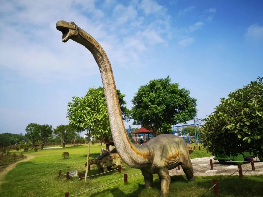 a级景区门票全免双节游合川最全攻略来了