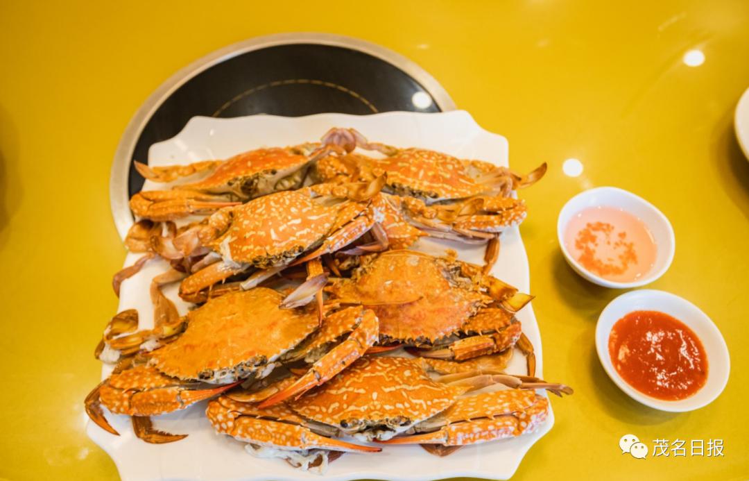 食在广东鲜在茂名③隔屏都流口水茂名海鲜一爱终生爱