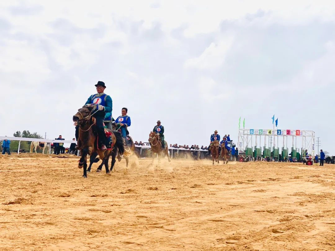 蒙古博克的比拼正在火热进行2020内蒙古马赛鄂托克前旗那达慕大会2020