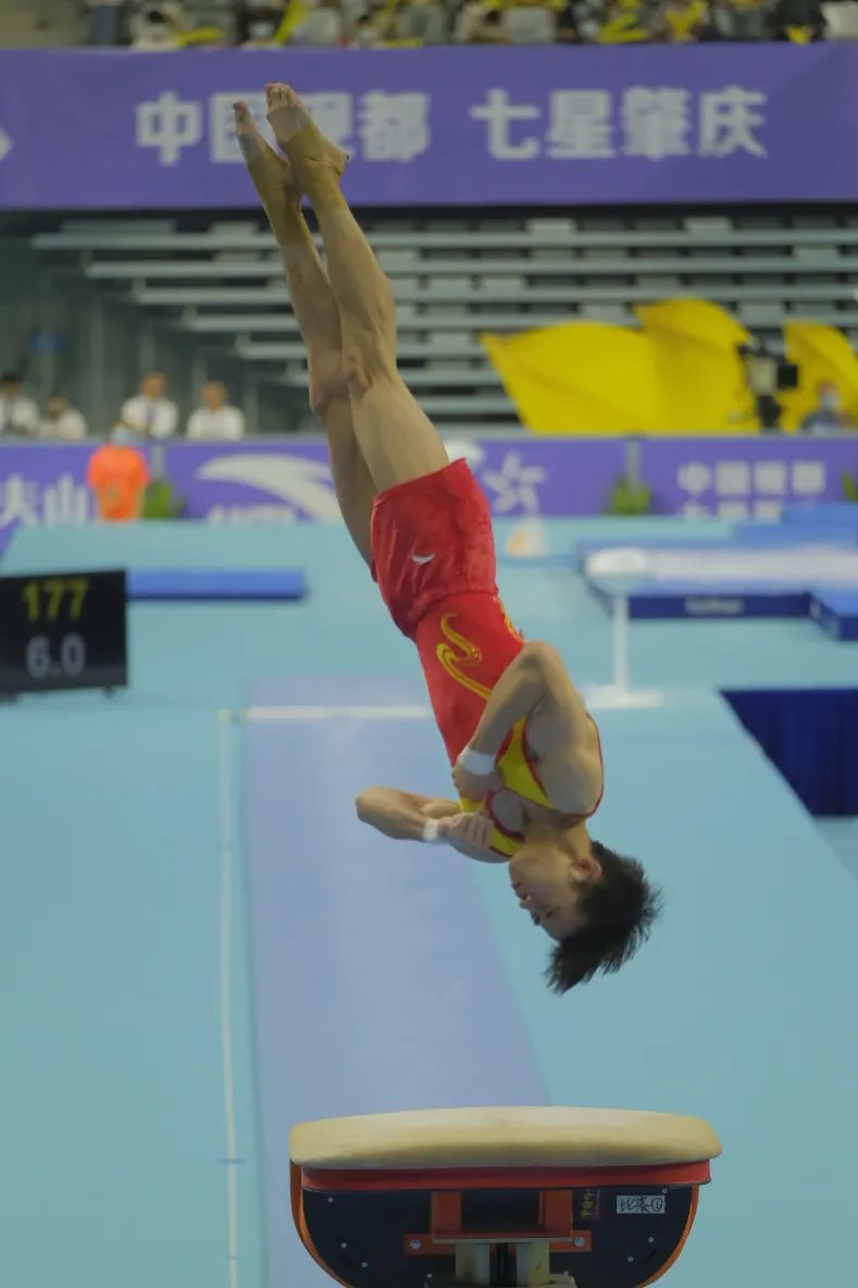 545.jpg