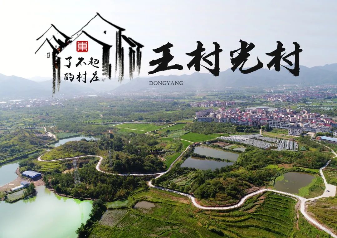 了不起的东阳村庄第八期歌山镇王村光村