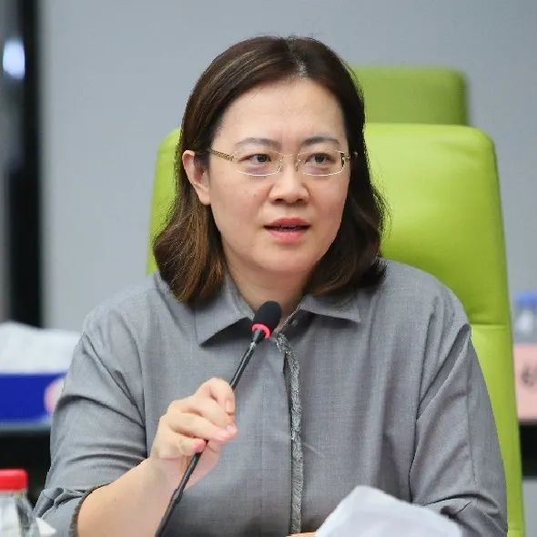 宋明 深圳大学法学院教授 发言结束后 评议嘉宾进行评议