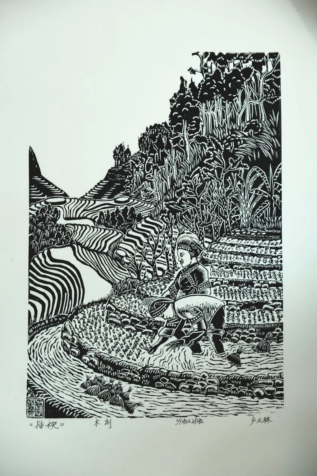 山海情深壮美马关马关壮族农民版画风采