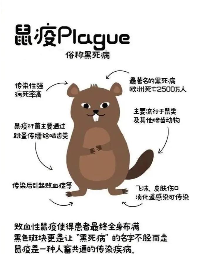 我国鼠疫疫源地分布广泛,疫源地类型众多,今年8月内蒙古就分别有一例
