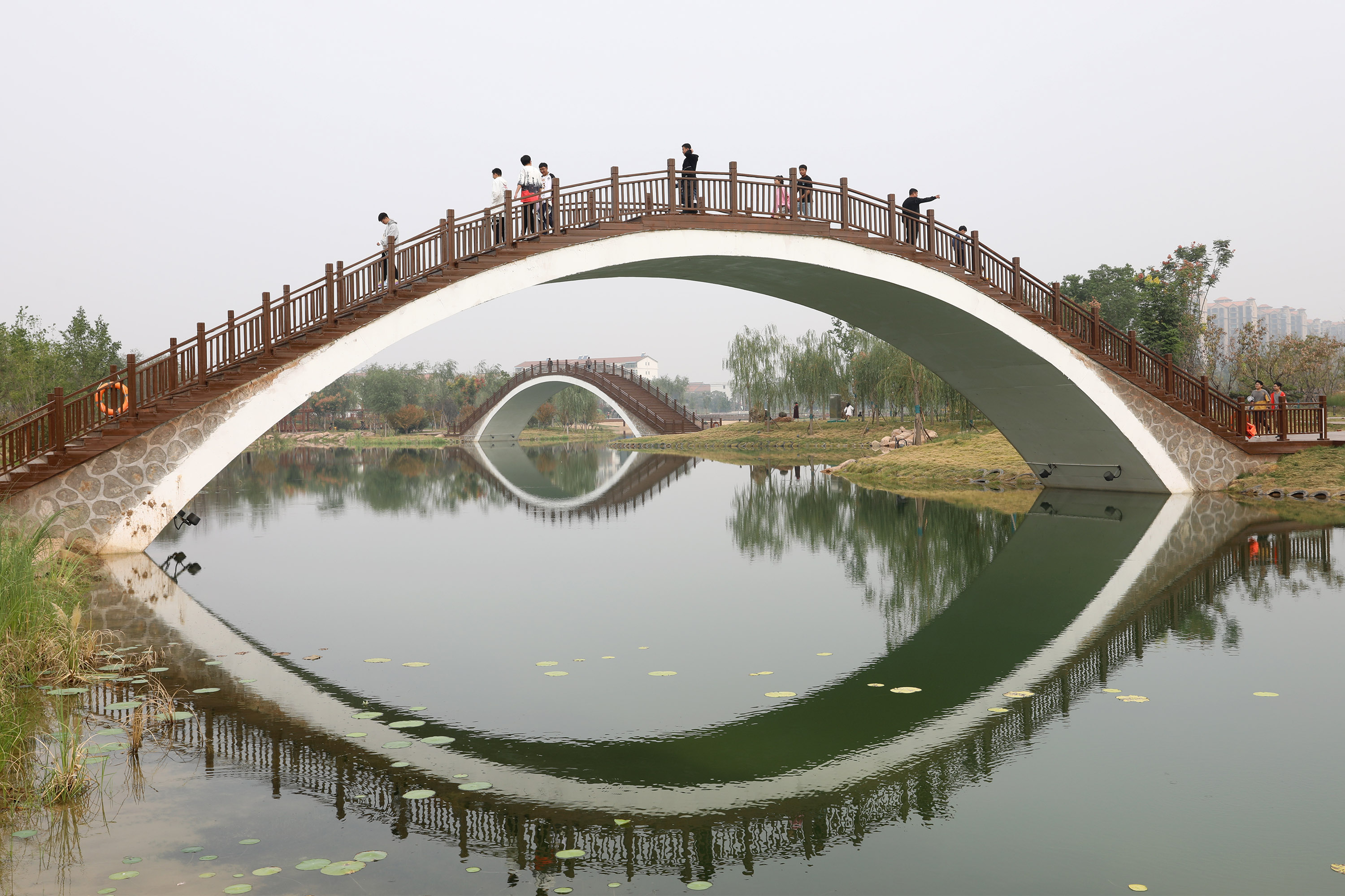 温县公园图片