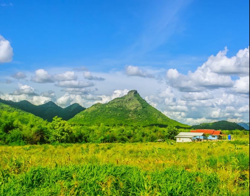 市林業和草原局強化管理抓好雙節期間森林草原防滅火工作