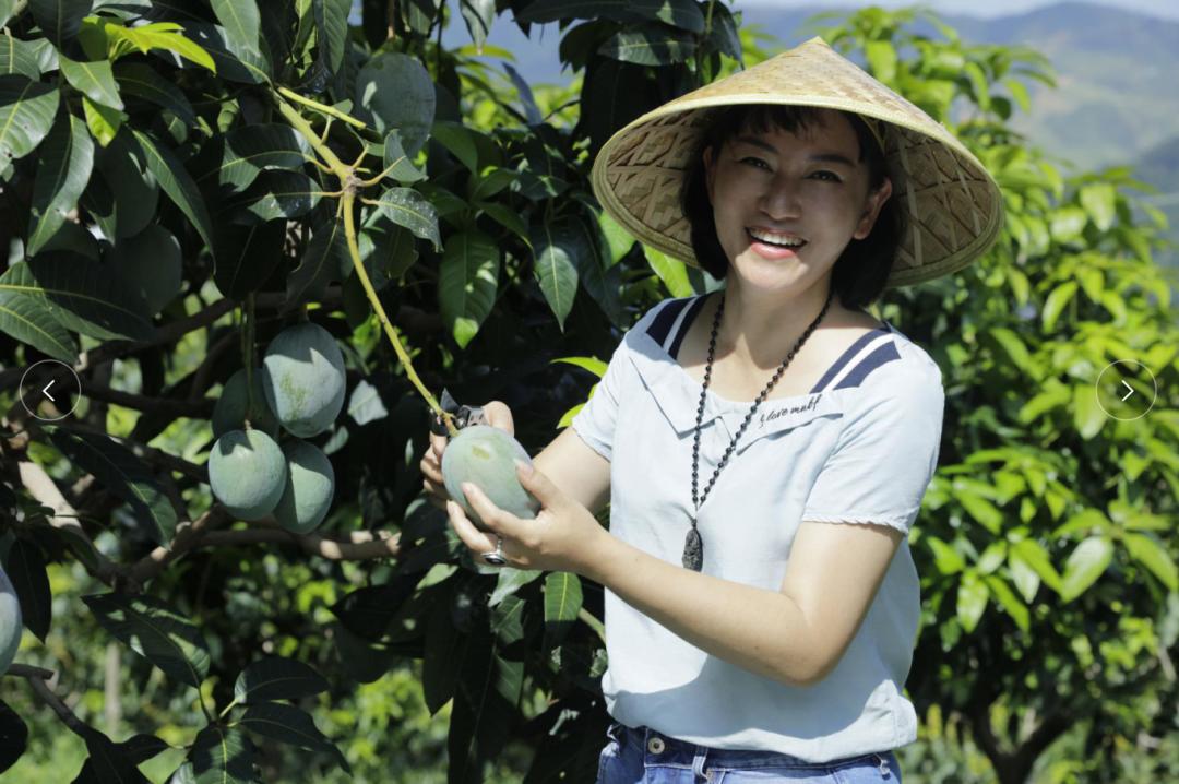 芒果姐姐的小梦想让大伙儿开着宝马种芒果