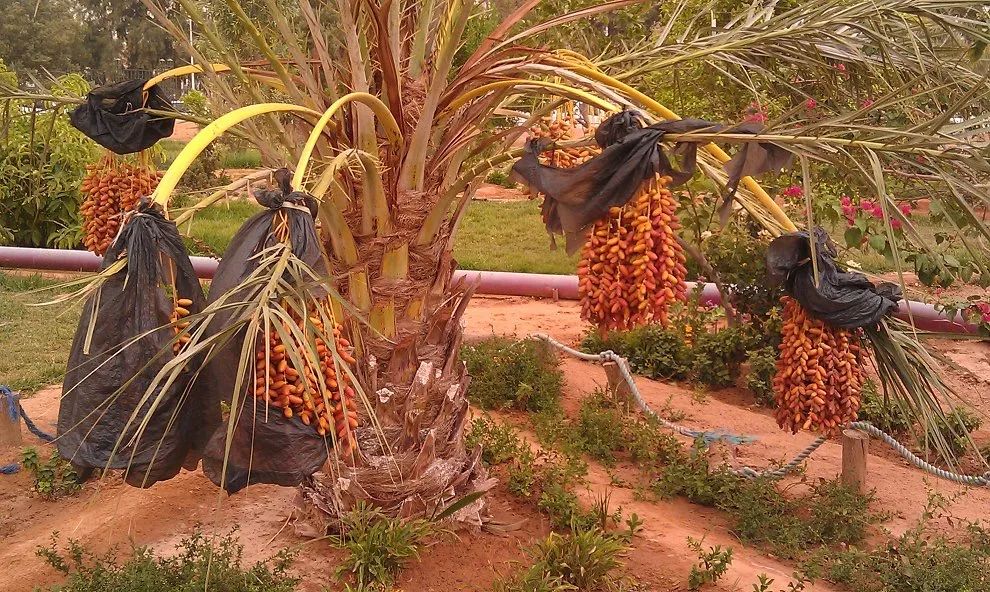 你在哪里我在非洲东一区