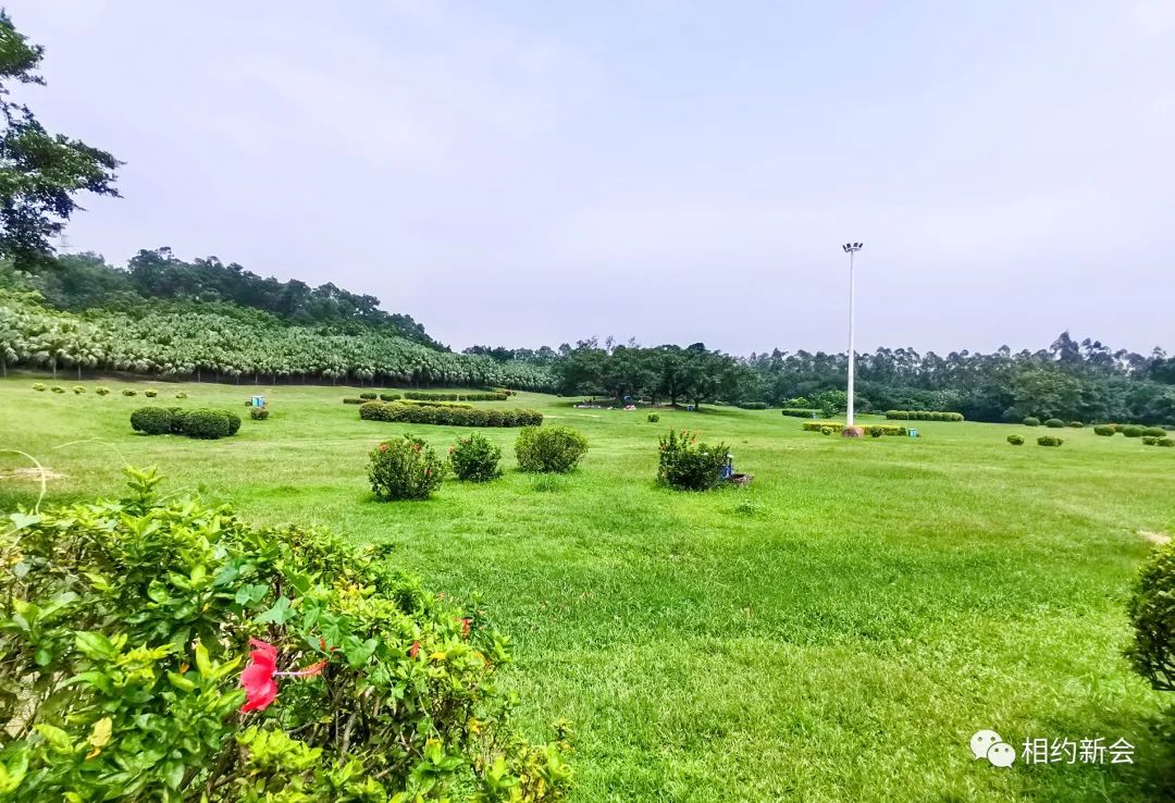 是人们愉悦身心,中秋赏月的好地方众多丰富多彩的游乐项目滑草场,碧绿