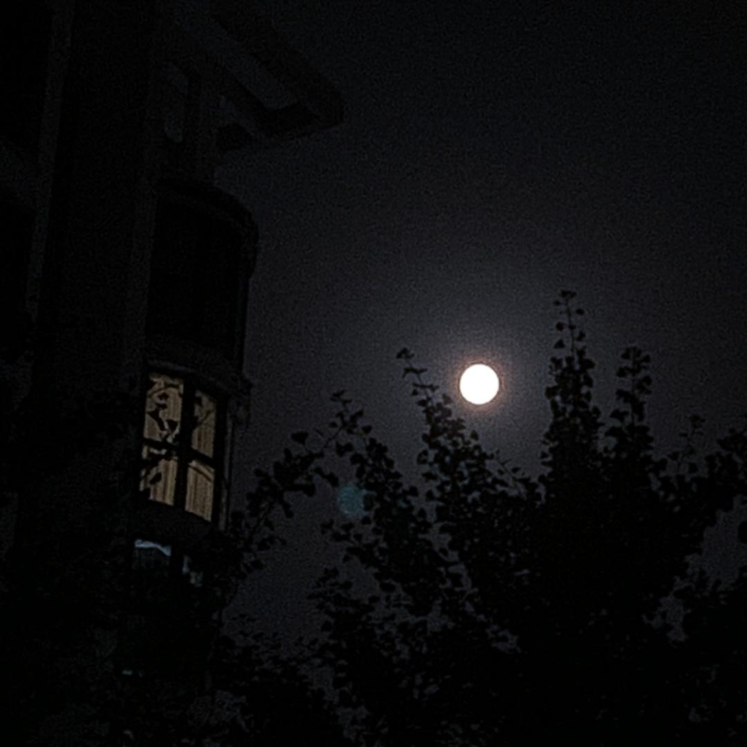 晚上月亮图片真实照片图片