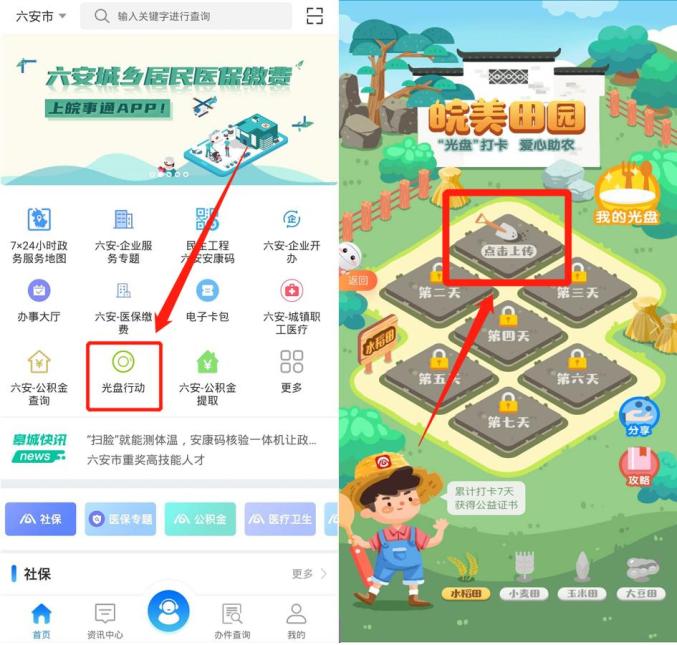 关于助农茶叶销售财务分析现金流分析折线图的信息