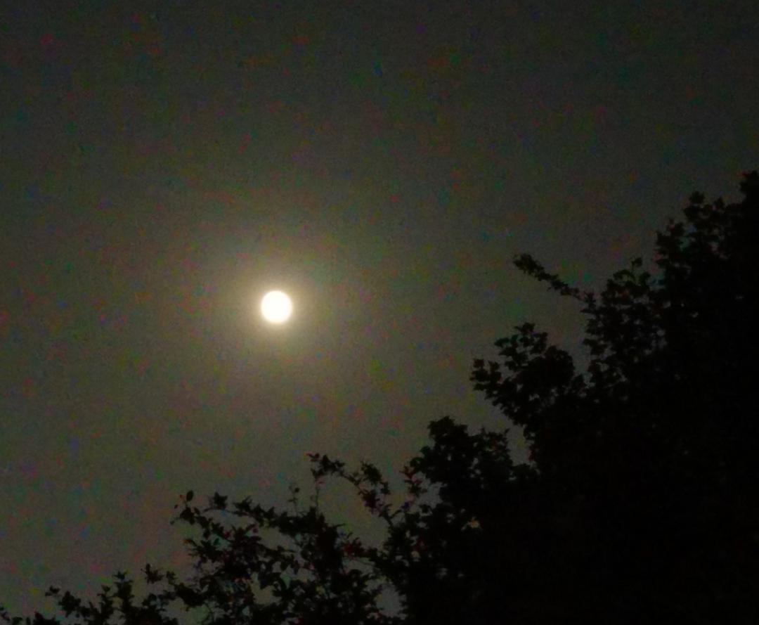 朋友圈最佳月亮出炉啦