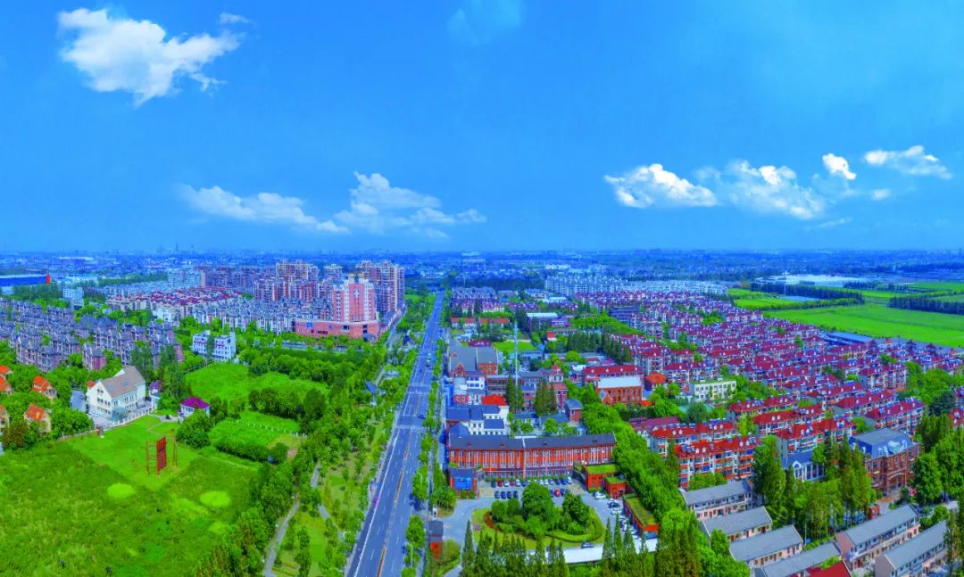 感受大自然最初的味道奉贤小囡带你get海湾镇打卡list