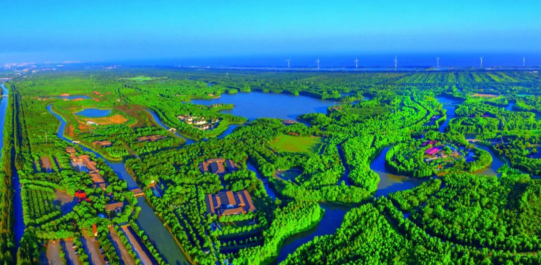 感受大自然最初的味道奉贤小囡带你get海湾镇打卡list