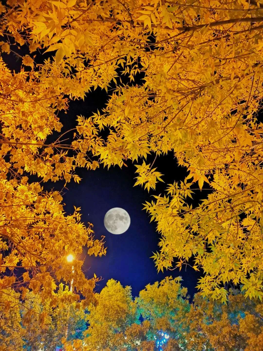 【视觉金昌】中秋夜月映镍都