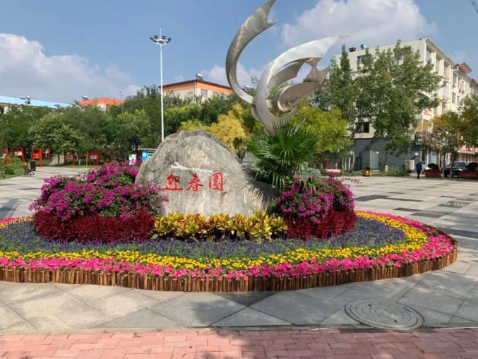 庆"双节"!20万盆花卉扮靓黄骅