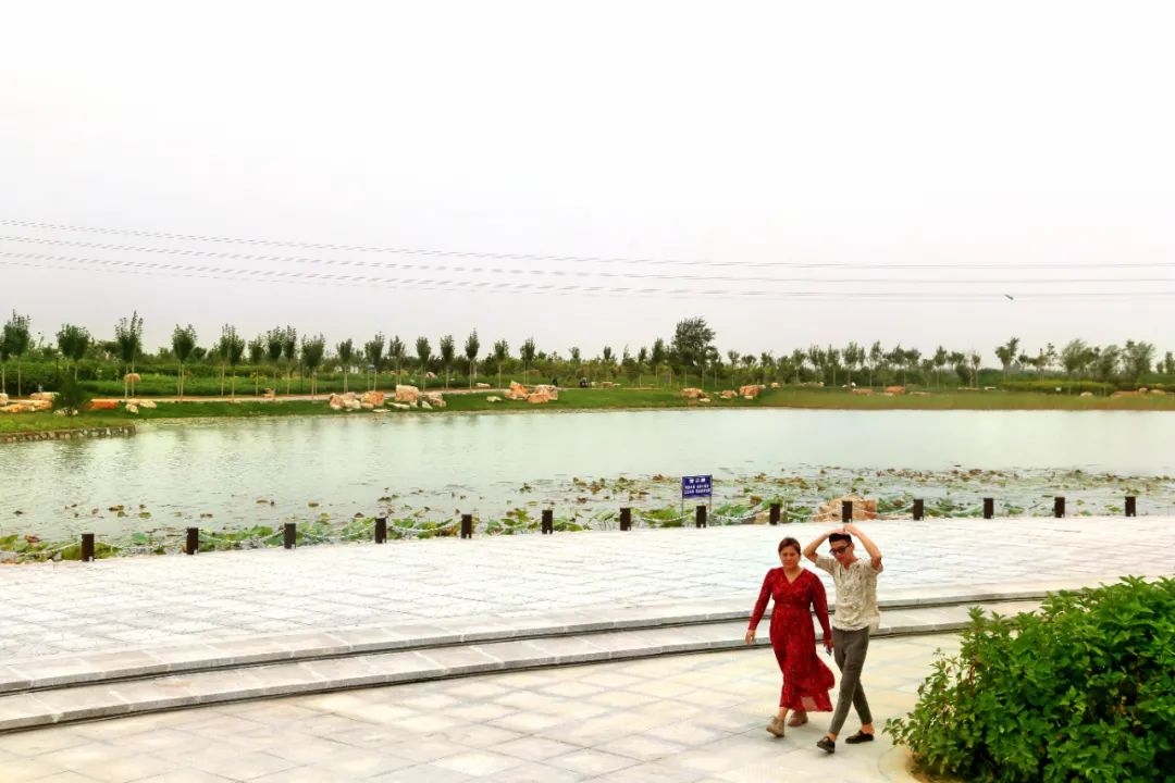 宁晋县体育公园图片图片
