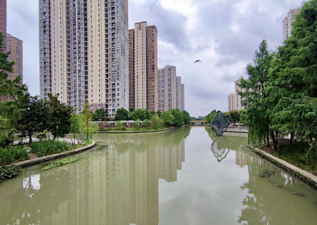 睡莲雕塑粉黛乱子草这个h型河道升级了很好逛