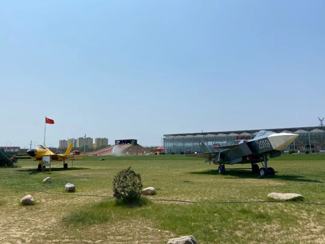 太和县 百鸟林景区