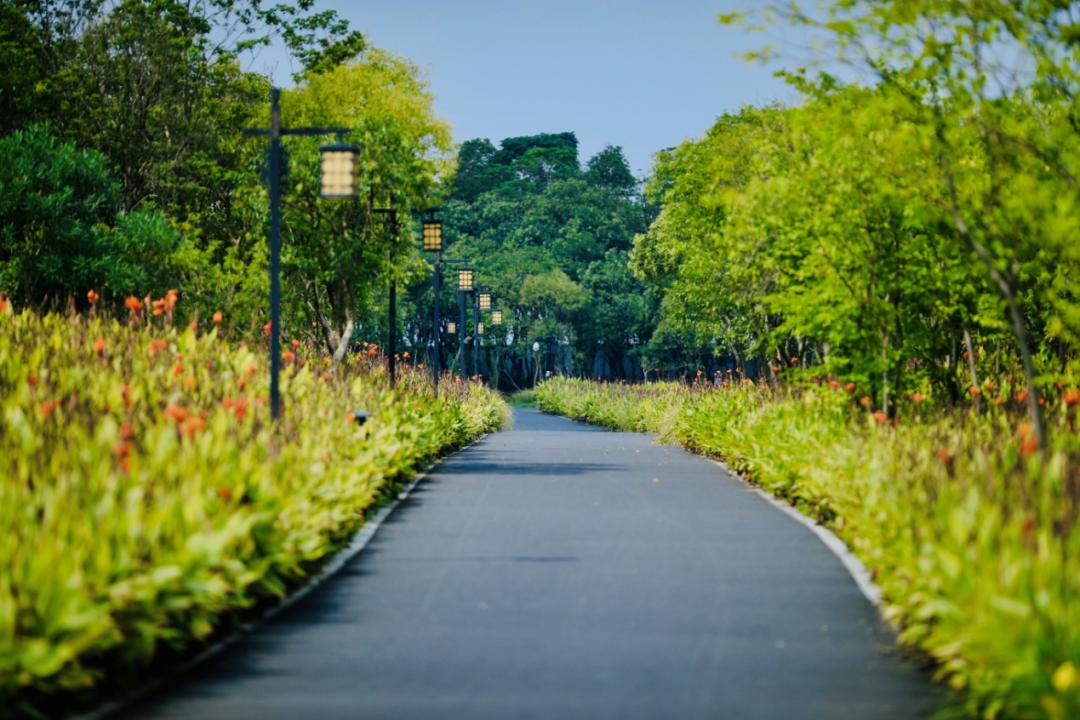 不妨來錢塘新區東沙湖公