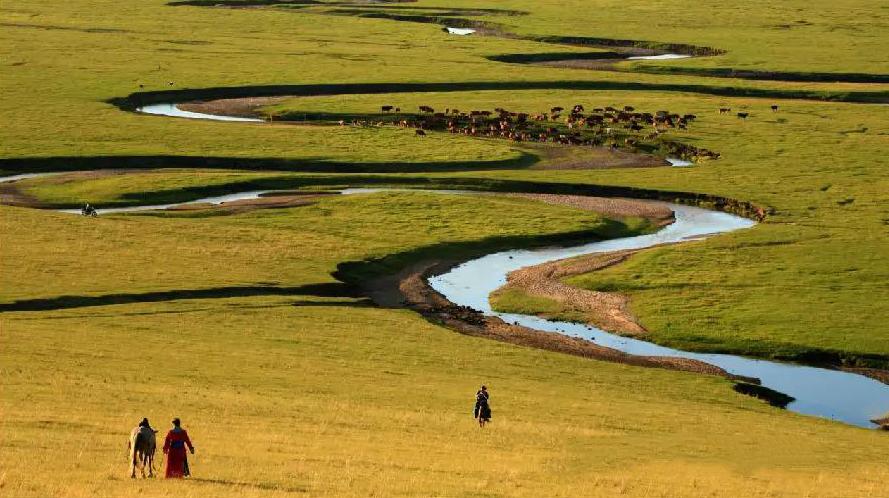 秋天的乌珠穆沁草原,太美了!