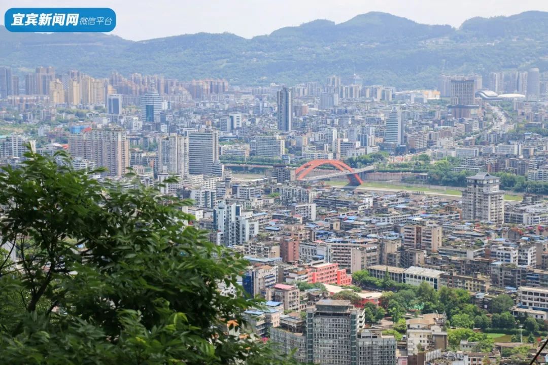 绿肺承载了无数宜宾人儿时的记忆翠屏山是宜宾市区的老网红啦翠屏山