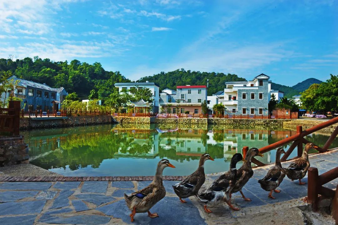 罗洪村玉龙寨 图源 德庆县广播电视台市民游客可畅游盘龙峡,玉龙寨