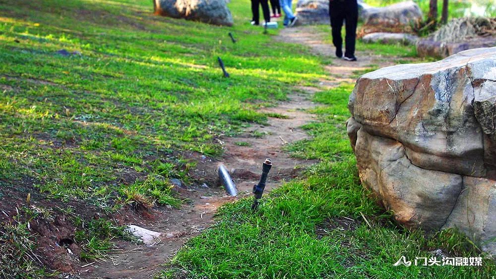 个别市民随意在草坪上穿行,原本青翠的草地被人为地踩出了一条土路