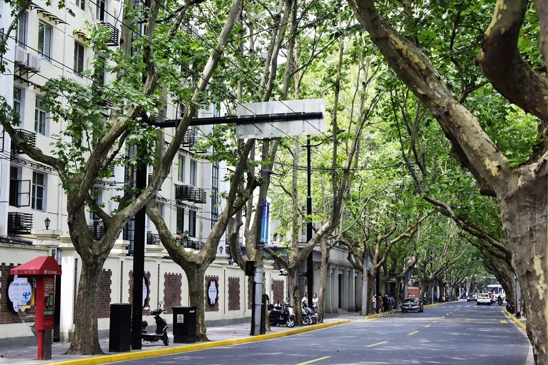 徜徉新华路,武夷路,愚园路,感受静雅和历史韵味