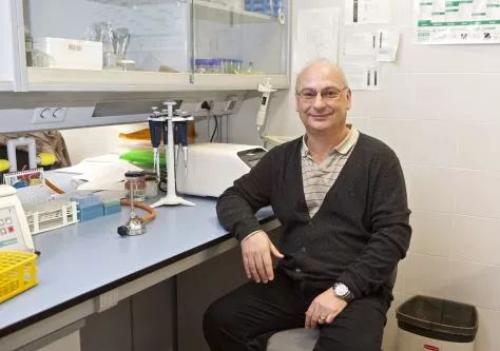 从救命神药到 基因编辑婴儿 ,crispr为何成为争议的漩涡丨直击诺奖