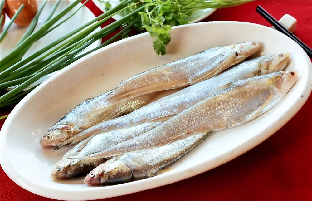 宁波百景图|快来宁海,体验山水之乐!