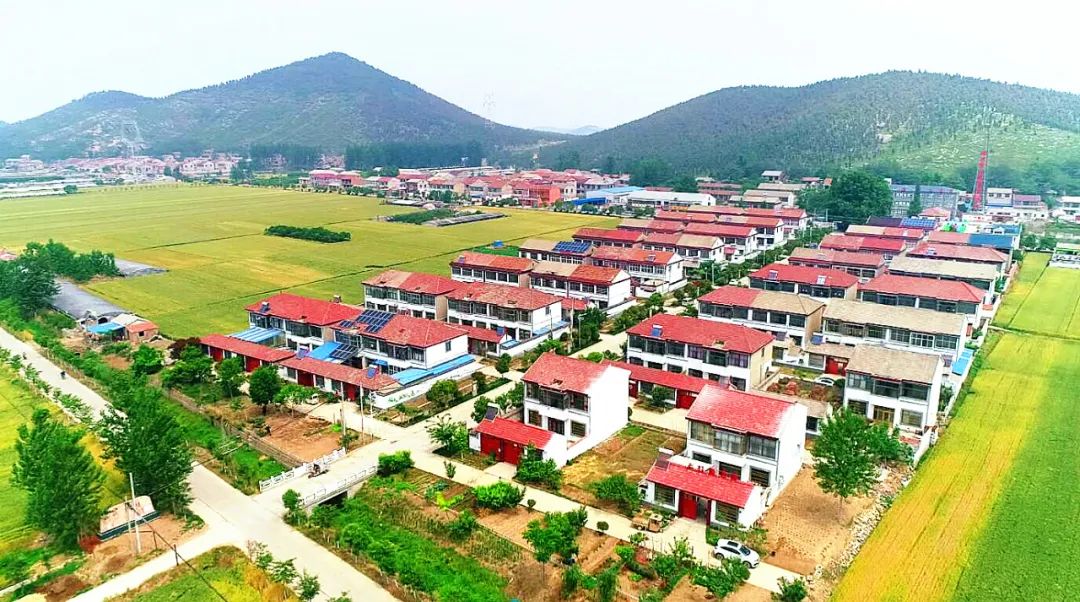 梁堂村 梁堂村位于张集镇中东部,古黄河北岸,东接吕梁风景区.