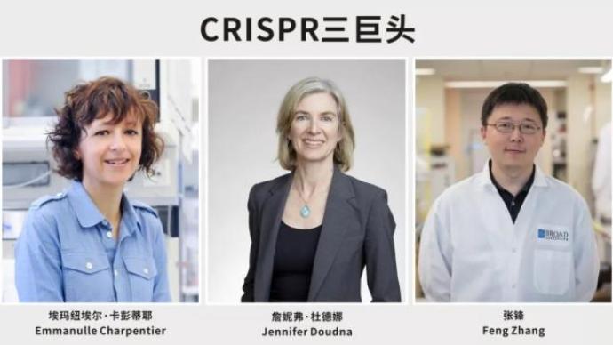 张锋赢得专利、憾失诺奖，细数CRISPR基因编辑三巨头之间的爱恨情仇